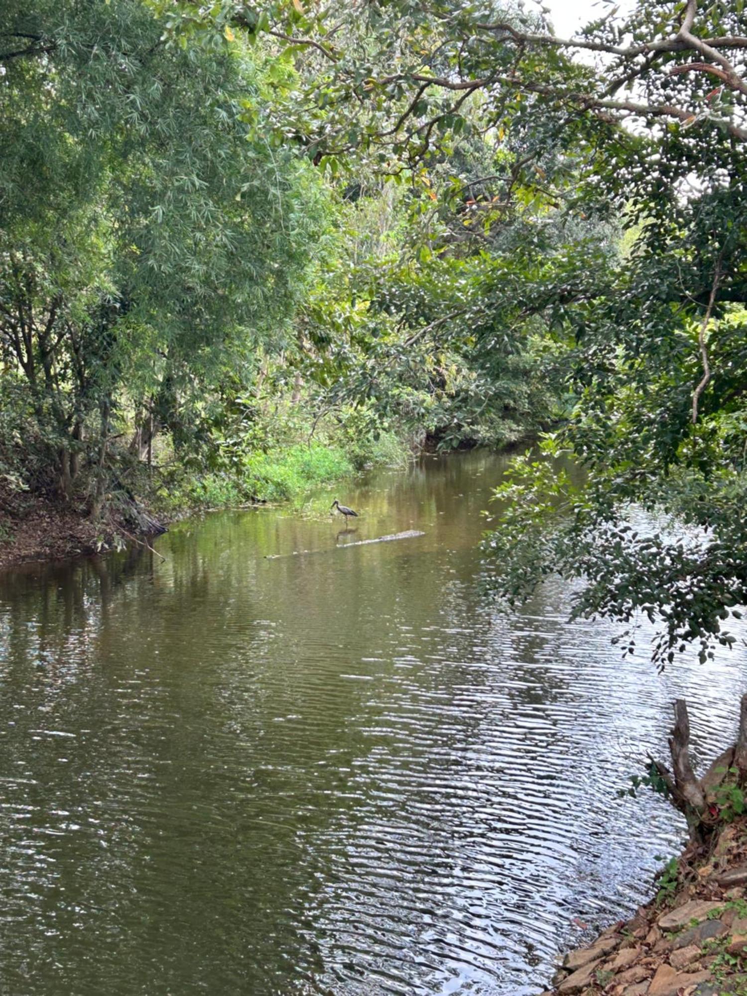 Wilderness Jungle Camp Hotel Malavalli Ngoại thất bức ảnh